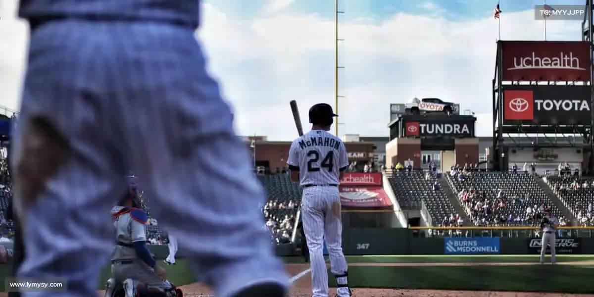 为什么选择我们